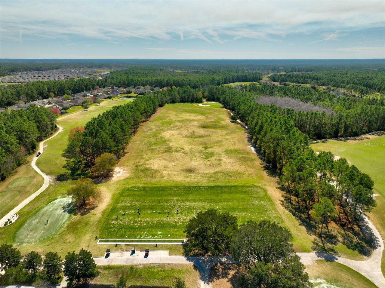 4420 Castle Palm Court, Orange Park, FL 32065 Photo
