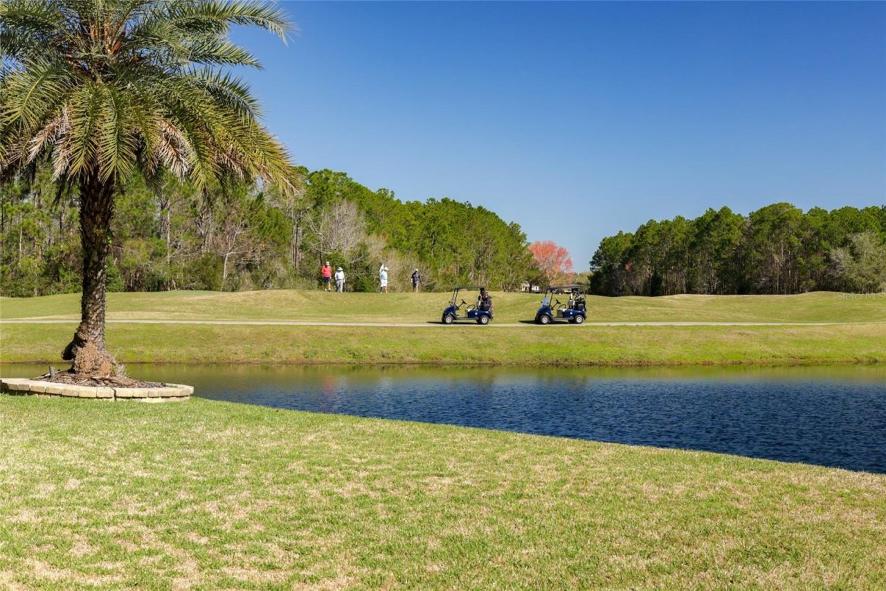 4420 Castle Palm Court, Orange Park, FL 32065 Photo