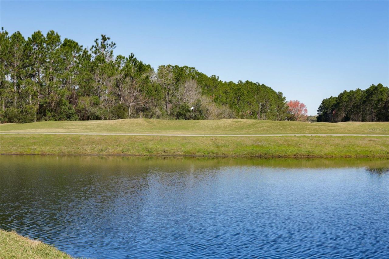 4420 Castle Palm Court, Orange Park, FL 32065 Photo