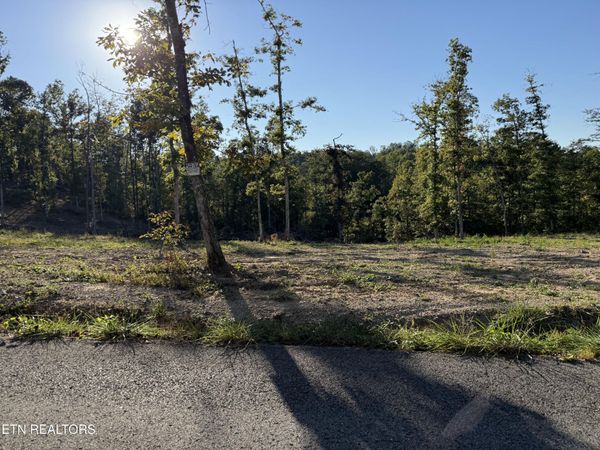 1274 Vine Ridge Rd, Wilder, TN 38589