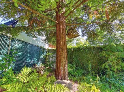 274 Huntley Ave, Auburn, CA 95603 Photo