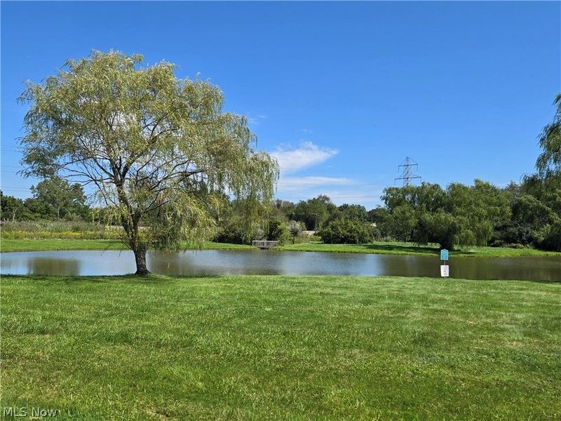 991 Kirkwall Drive, Copley, OH 44321 Photo 46