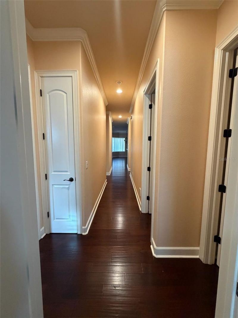9650 Milano Drive, New Port Richey, FL 34655 Photo