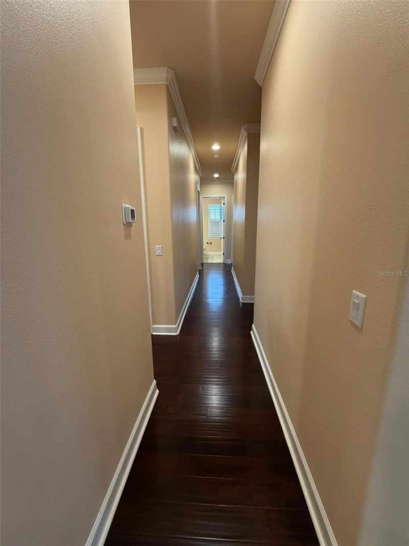 9650 Milano Drive, New Port Richey, FL 34655 Photo