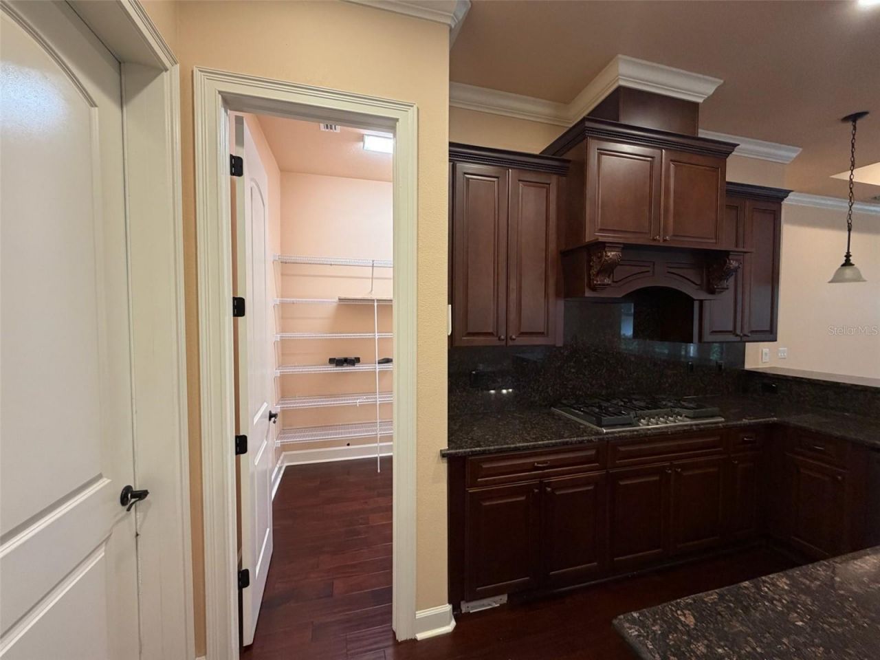9650 Milano Drive, New Port Richey, FL 34655 Photo
