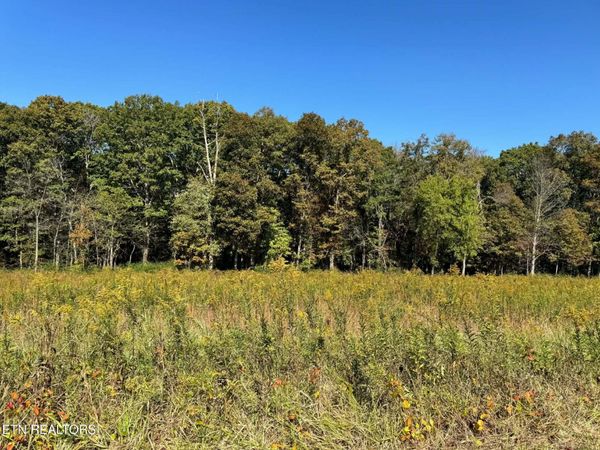 Golliher Rd, Rockwood, TN 37854