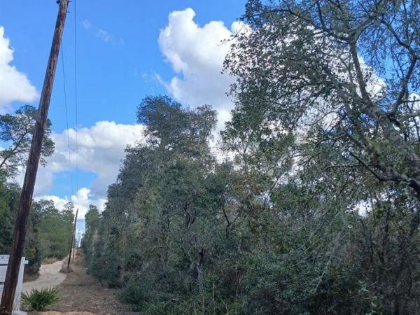 TBD NE 234 TH PLACE , Unit Lots 19.20, FORT MC COY, FL 32134