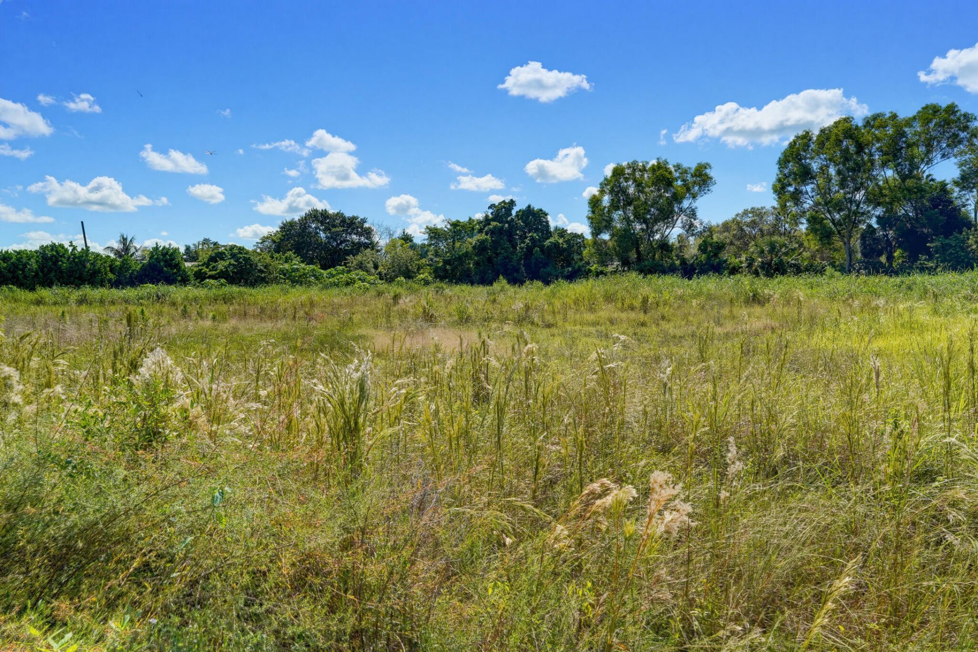 16682 64th Place N, The Acreage, FL 33470 Photo