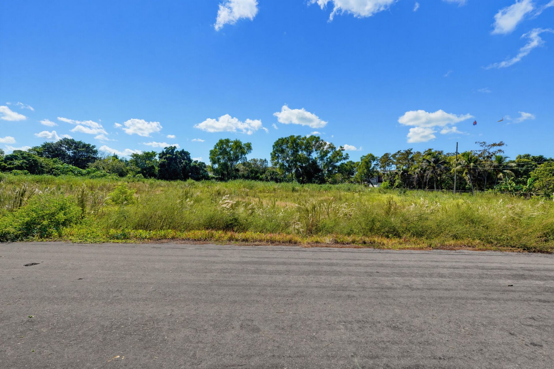 16682 64th Place N, The Acreage, FL 33470 Photo