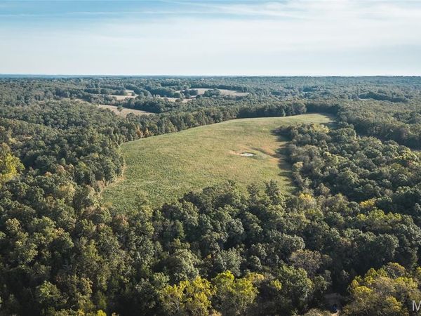 000 Long Spring Tract 3 , Steelville, MO 65565