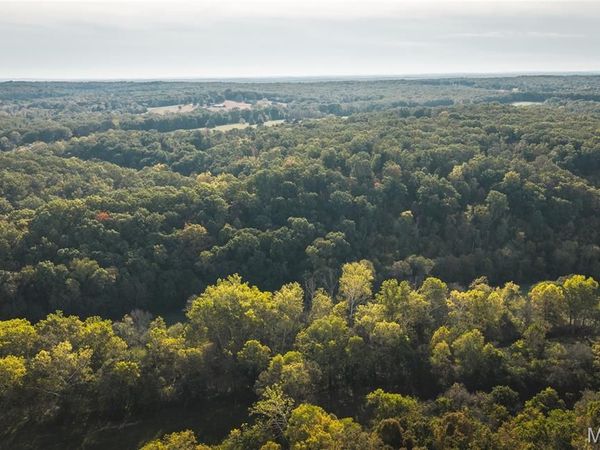 000 Long Spring Tract 2 , Steelville, MO 65565