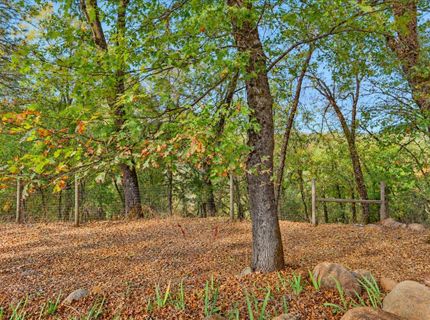 16260 Tadpole Creek Rd, Grass Valley, CA 95949 Photo