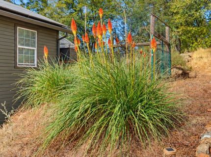 16260 Tadpole Creek Rd, Grass Valley, CA 95949 Photo