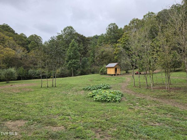 Tbd Osborne Ridge Road, Dungannon, VA 24245