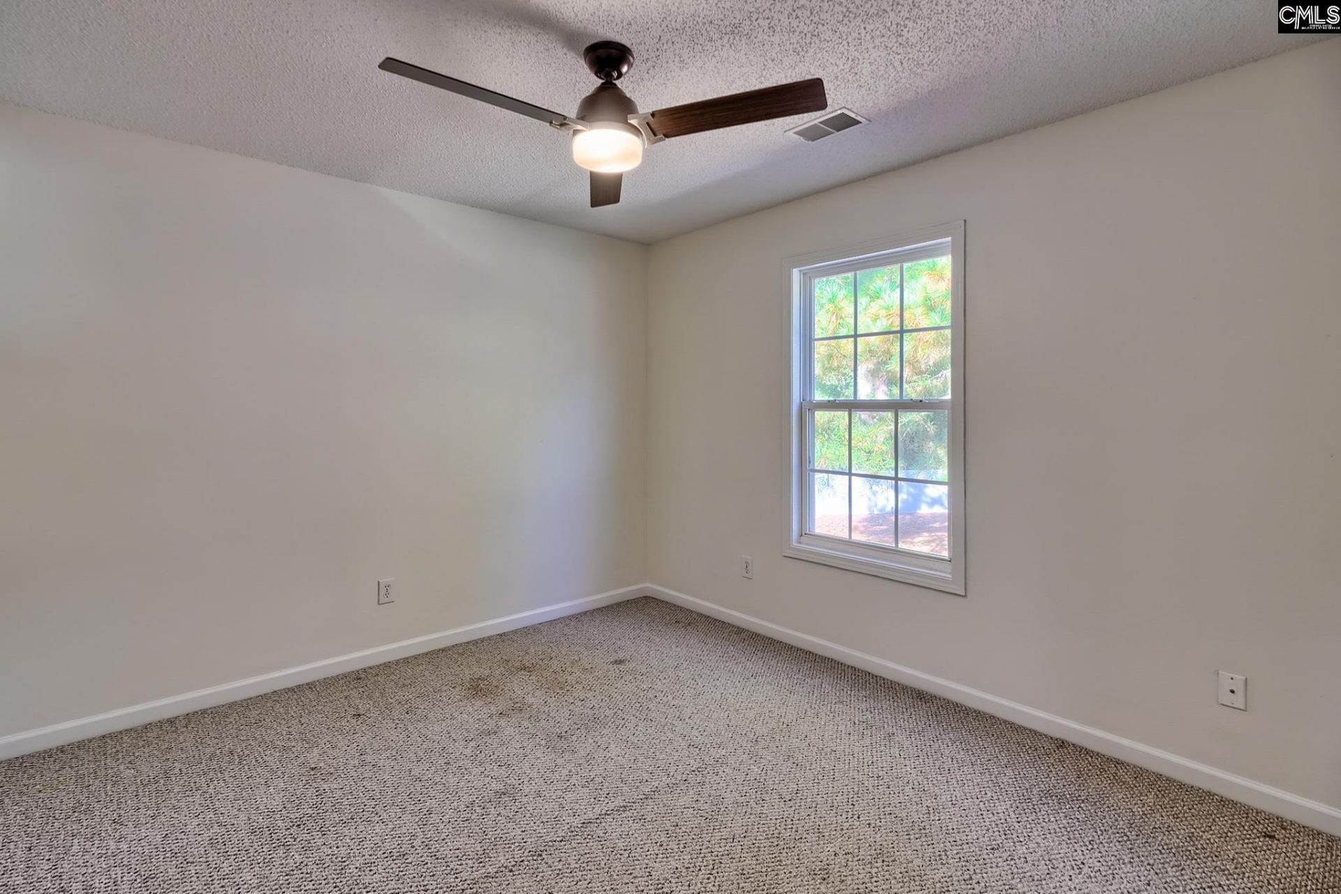 235 Ashewood Lake Drive  Photo 19