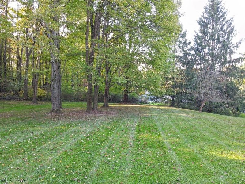 2878 Sunnybrook Road, Mogadore, OH 44260 Photo 45