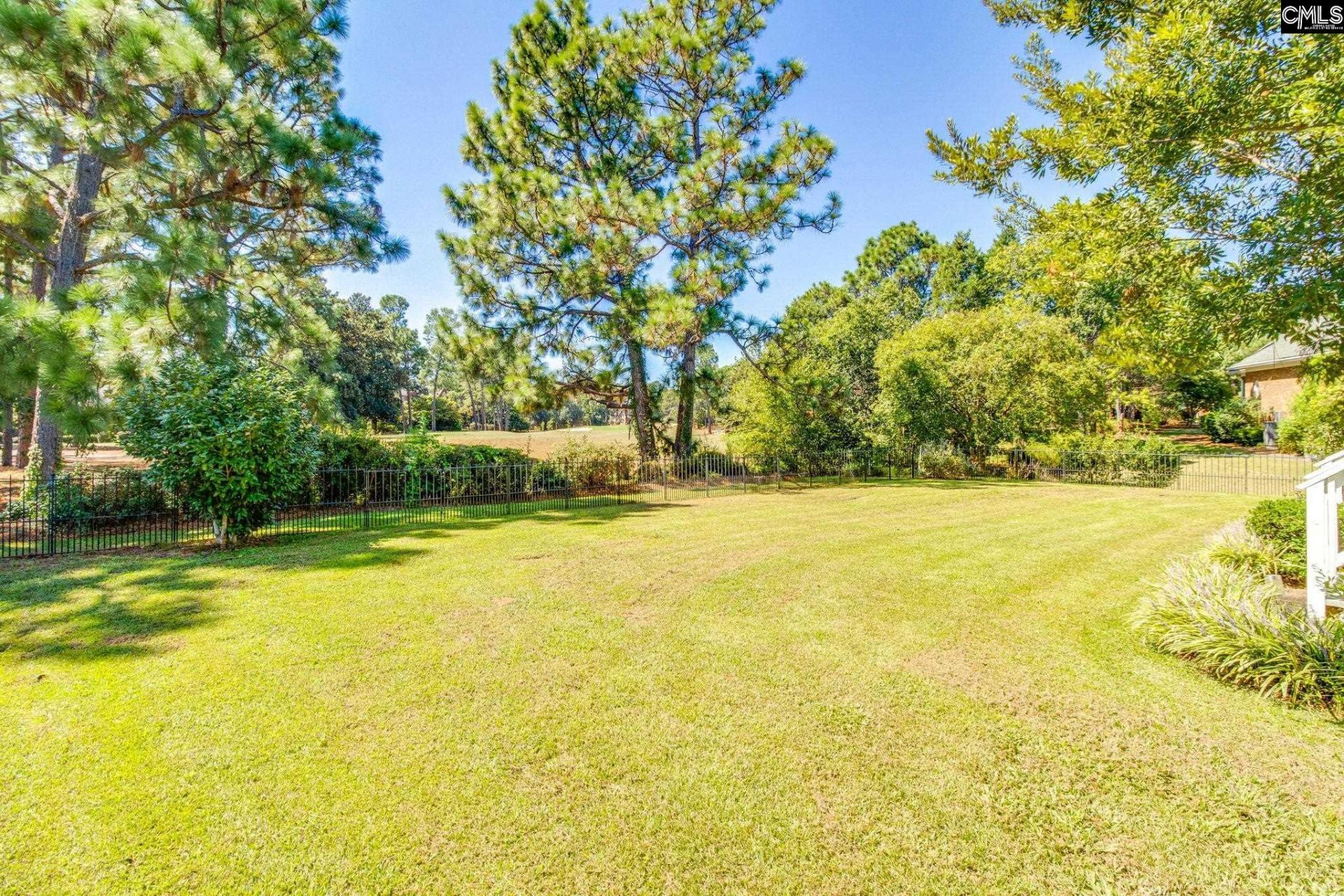 700 Sparkleberry Lane  Photo 46