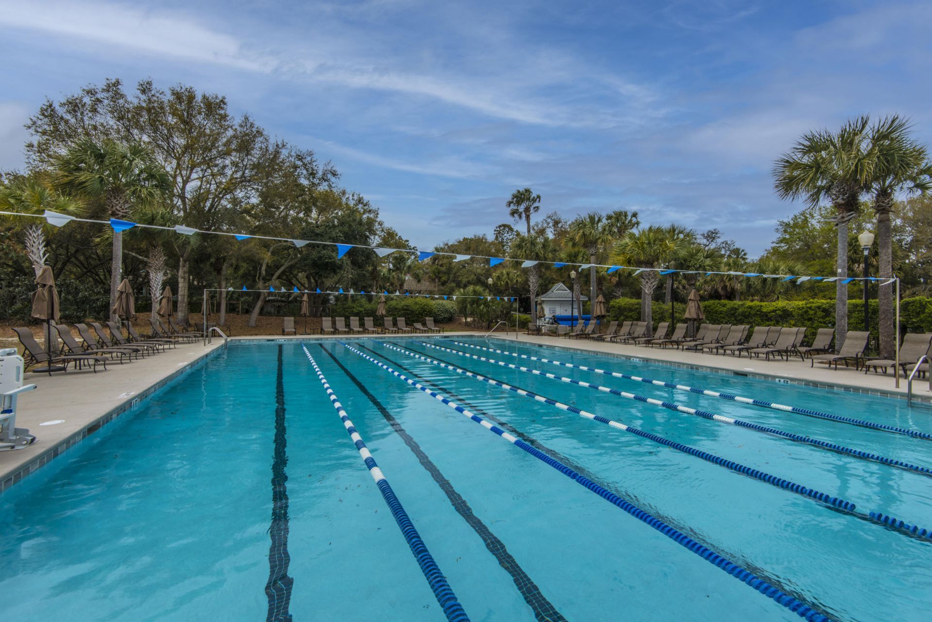 9510 Palmetto Drive Photo 47