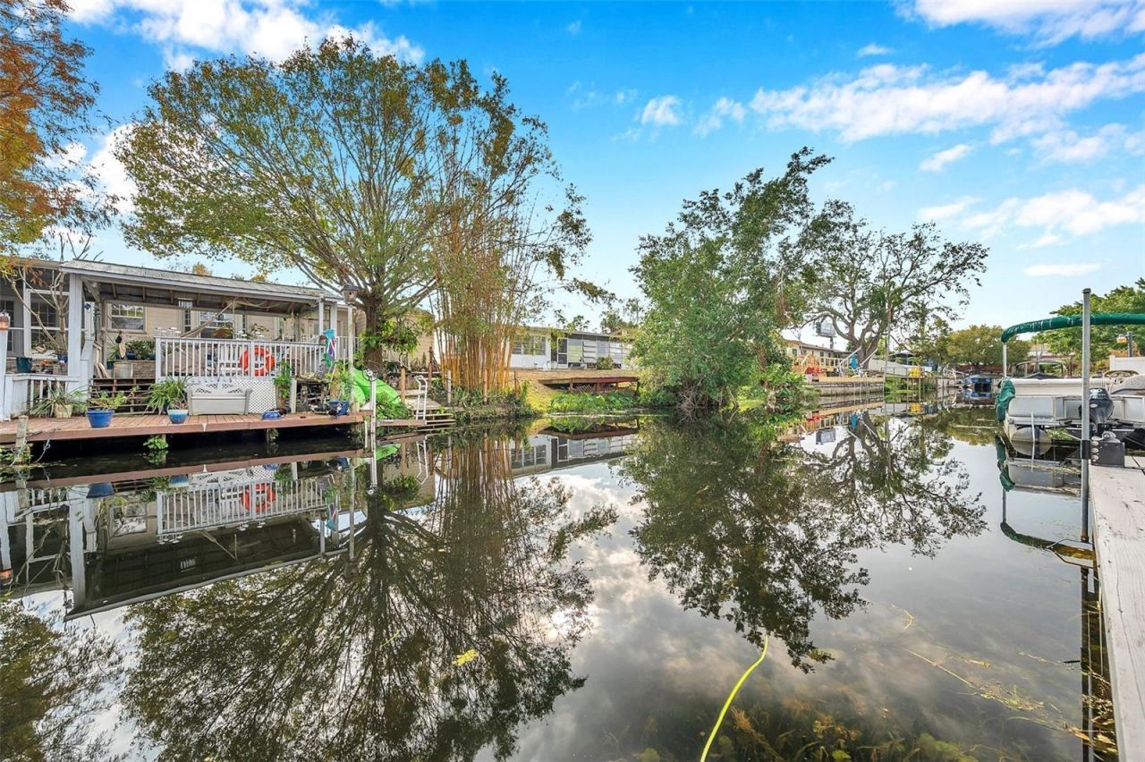 8 Citrus Drive, Palm Harbor, FL 34684 Photo