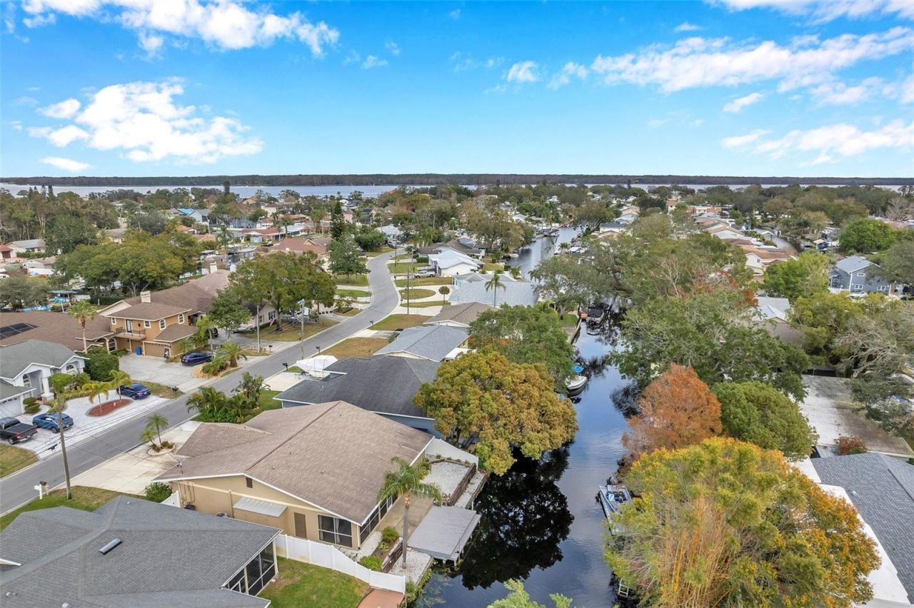 8 Citrus Drive, Palm Harbor, FL 34684 Photo