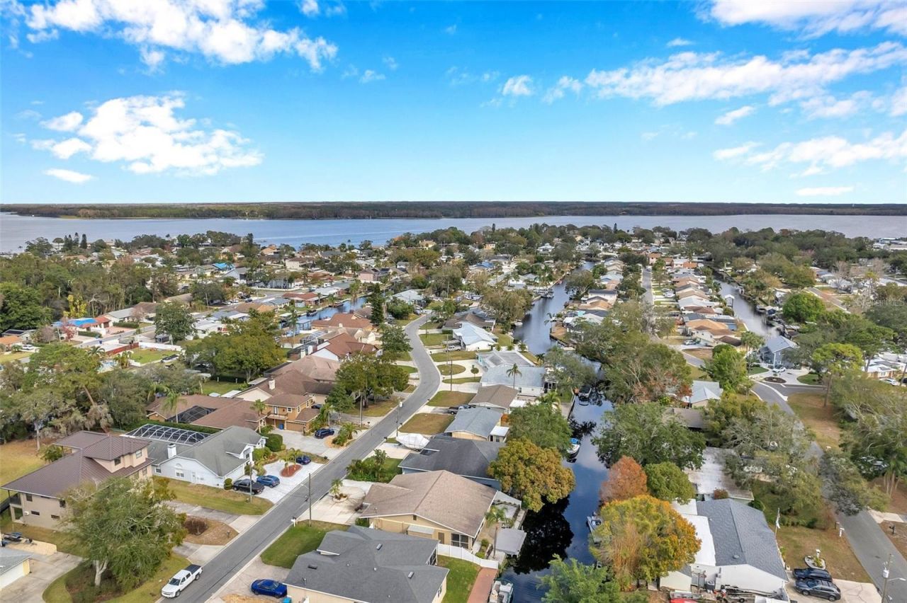 8 Citrus Drive, Palm Harbor, FL 34684 Photo
