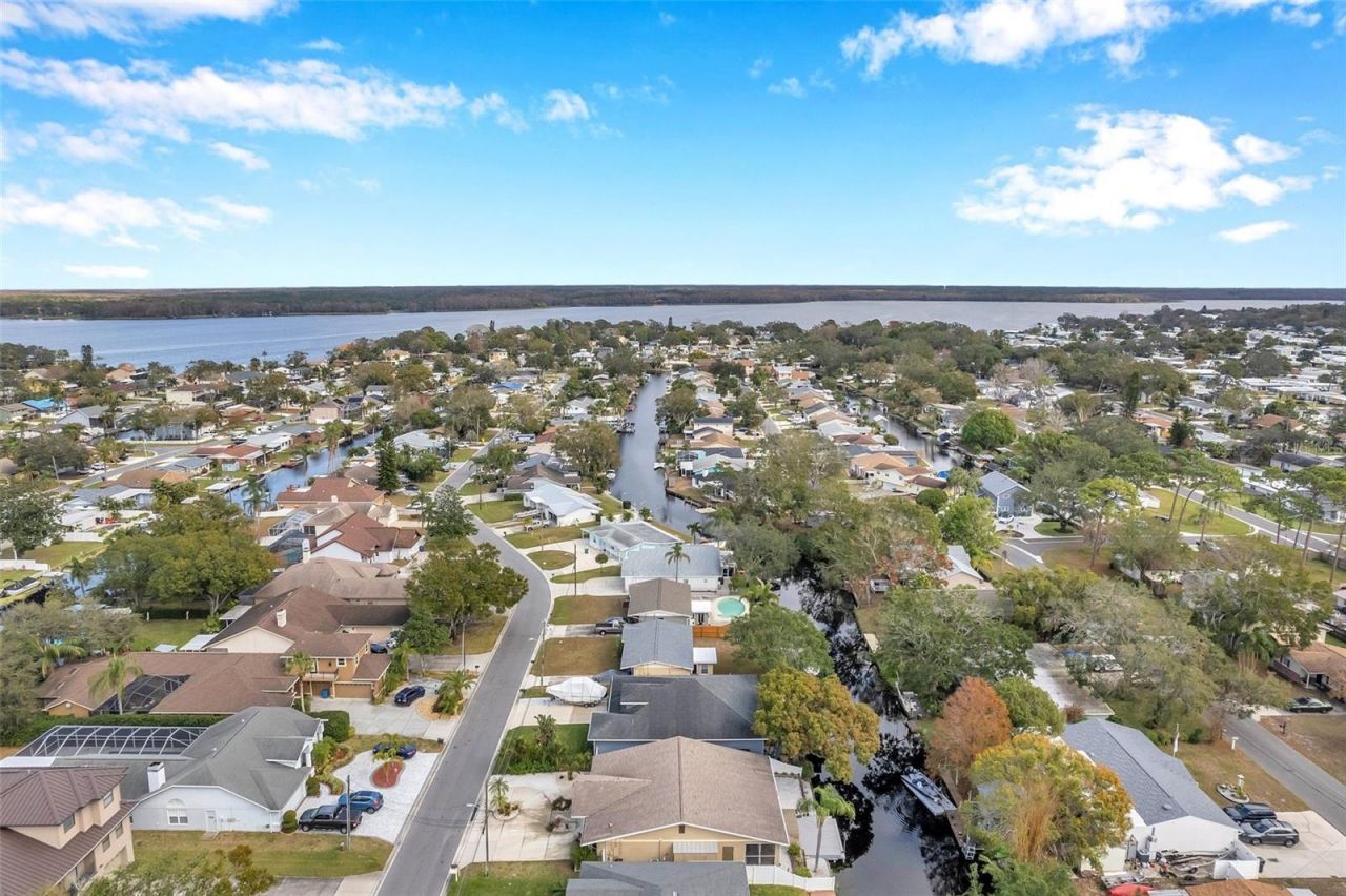 8 Citrus Drive, Palm Harbor, FL 34684 Photo