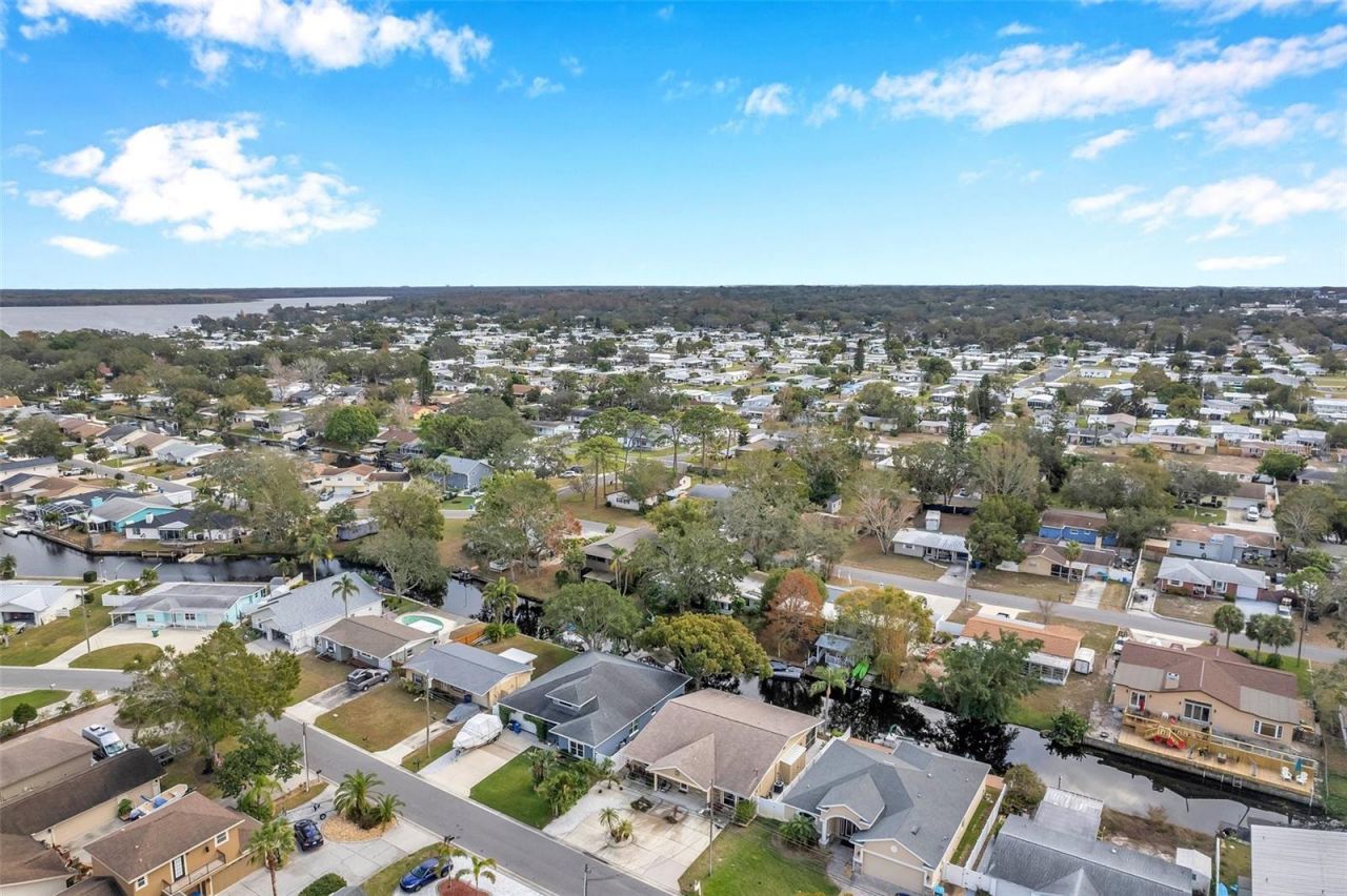 8 Citrus Drive, Palm Harbor, FL 34684 Photo