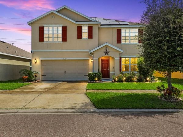 10317 GEESE TRAIL CIRCLE , RUSKIN, FL 33573