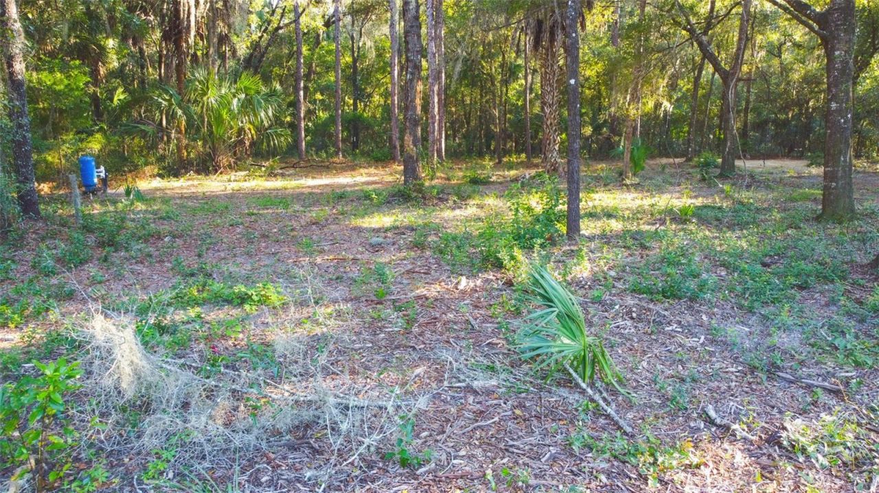 8030 SE 153rd Street , Inglis, FL 34449 Photo