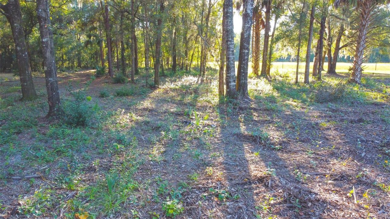 8030 SE 153rd Street , Inglis, FL 34449 Photo