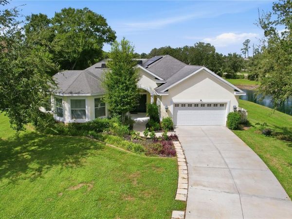 19930 DOLORES ANN COURT, LUTZ, FL 33549