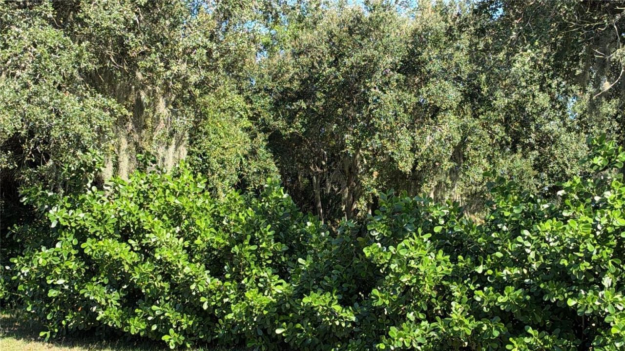 Alibi Terrace , North Port, FL 34286 Photo
