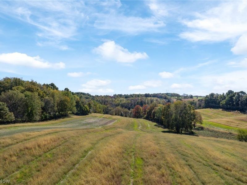 6031 Raindrop Road SE, Amsterdam, OH 43903 Photo 33