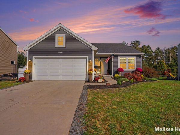 14541 Bigleaf Drive, West Olive, MI 49460