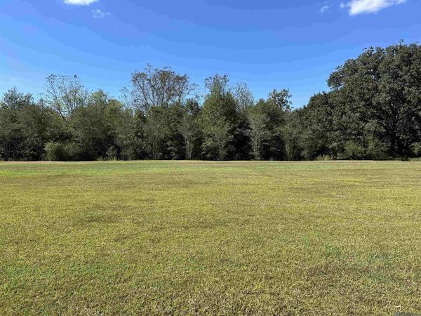 TBD La Hwy 16, Denham Springs, LA 70706