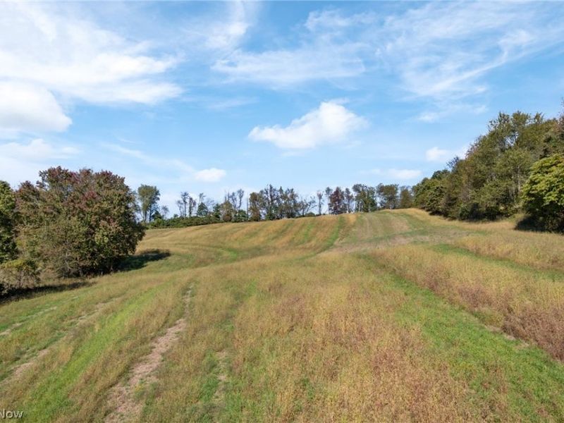 6031 Raindrop Road SE, Amsterdam, OH 43903 Photo 34