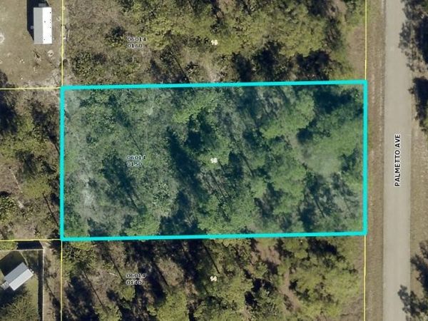 1305 Palmetto Ave., Lehigh Acres, FL 33920