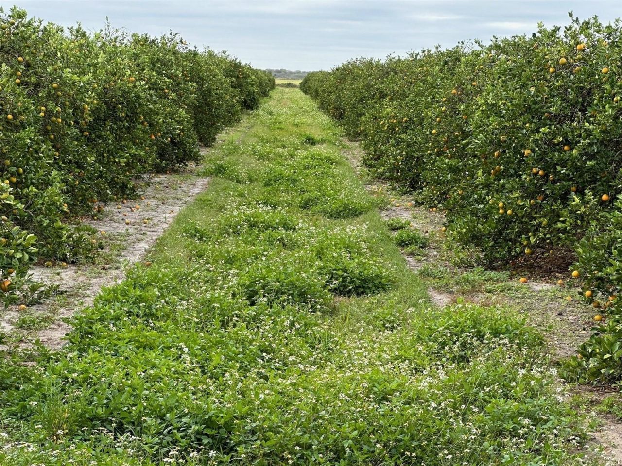 State Rd 60 , Okeechobee, FL 34972 Photo