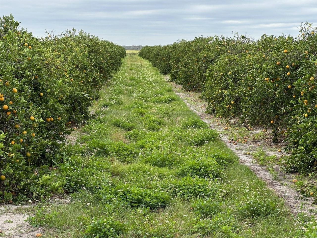 State Rd 60 , Okeechobee, FL 34972 Photo
