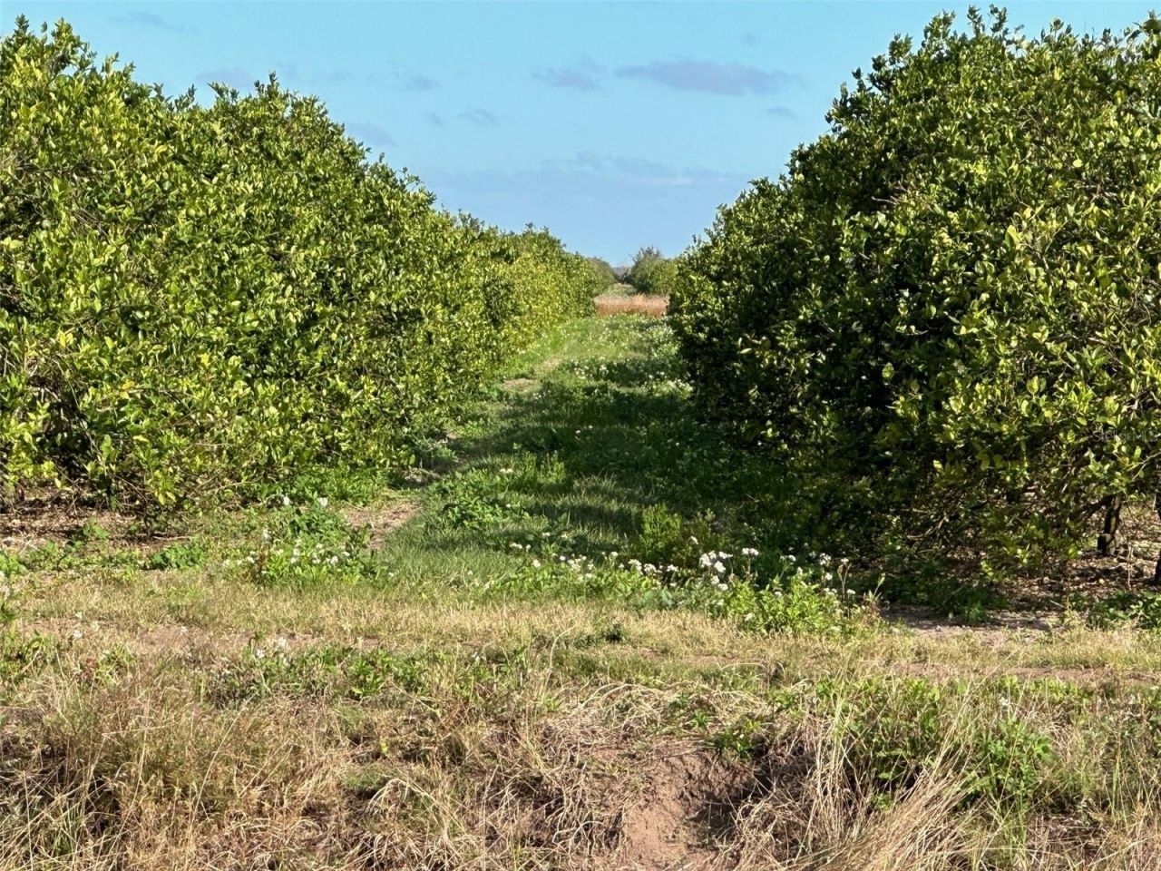 State Rd 60 , Okeechobee, FL 34972 Photo