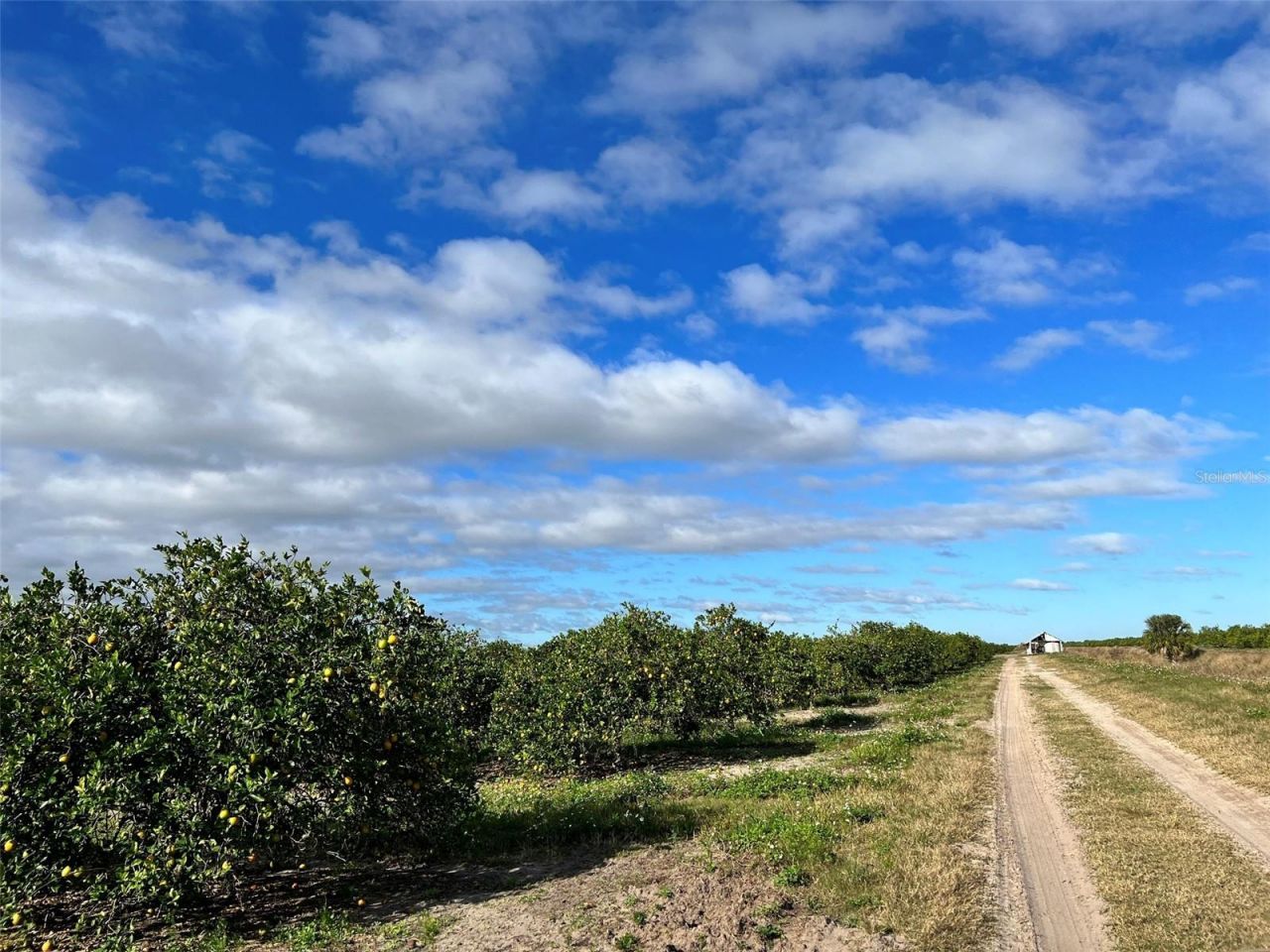 State Rd 60 , Okeechobee, FL 34972 Photo