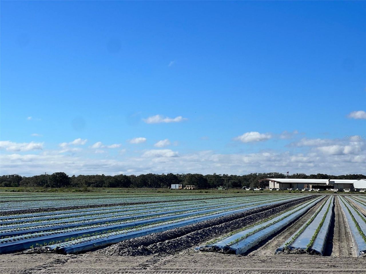 State Rd 60 , Okeechobee, FL 34972 Photo