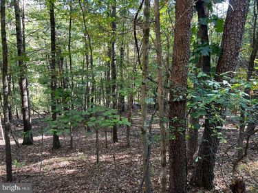 0 HEMLOCK STREET, MT JACKSON, VA 22842