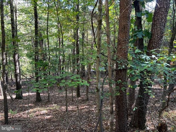 0 HEMLOCK STREET, MT JACKSON, VA 22842
