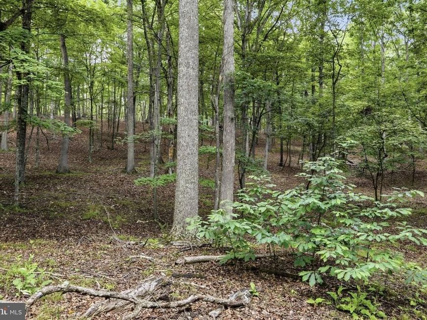 0 Pioneer Trail Trail, Great Cacapon, WV 25422 Main Photo