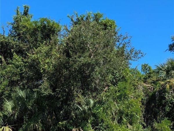16475 CHAMBERLAIN BOULEVARD , PORT CHARLOTTE, FL 33954