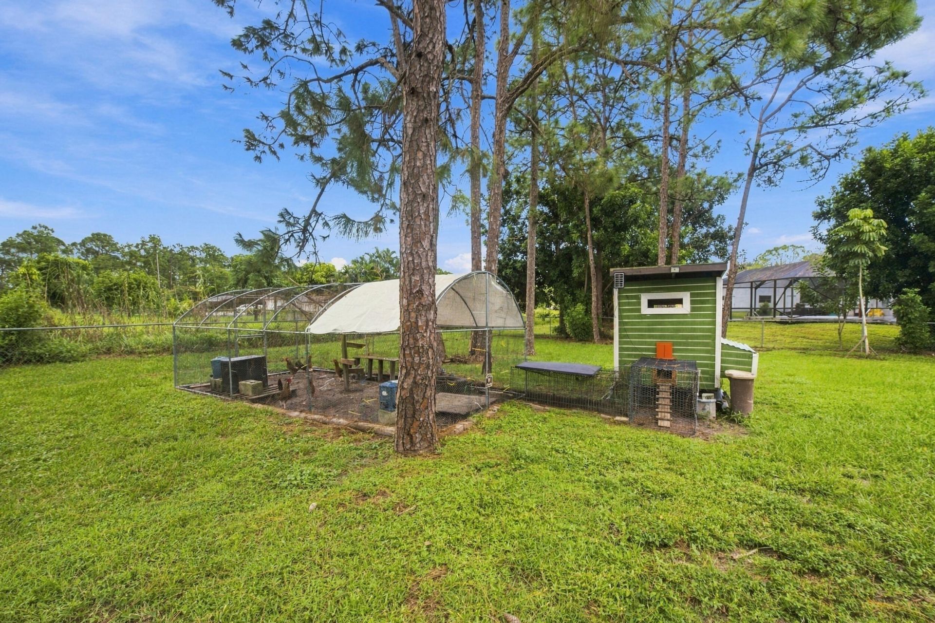 15107 97th Road N, The Acreage, FL 33412 Photo