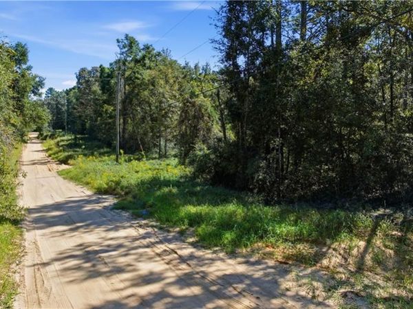 0 Miller Branch Lane, Chunchula, AL 36521