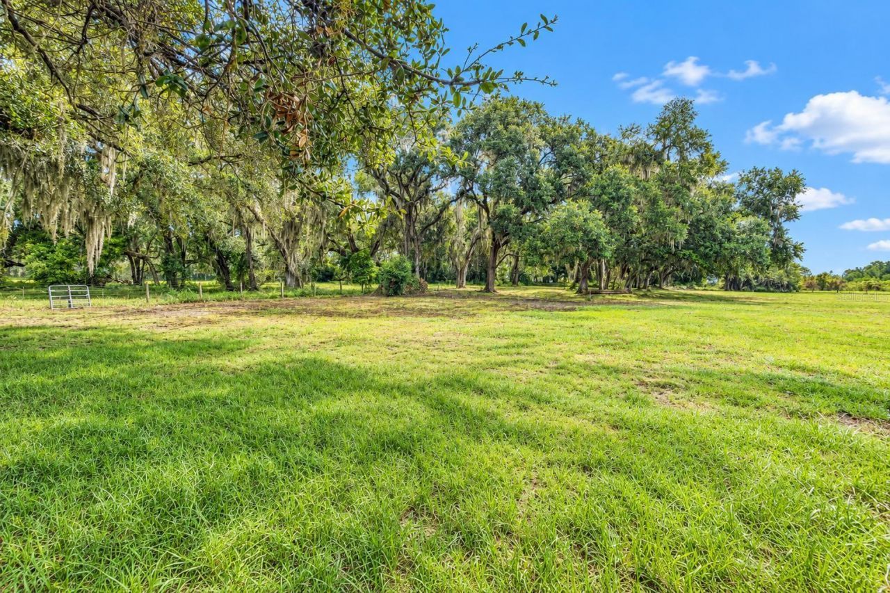 8957 SE 12th Drive, Webster, FL 33597 Photo