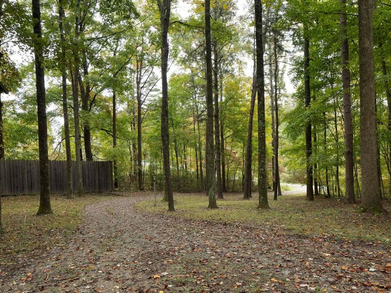 20554 Thompson Ridge Road, Laurelville, OH 43135 Photo 21